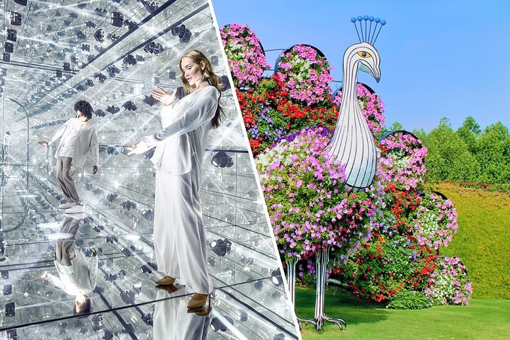 Experience a fusion of art and nature in Dubai. Explore the AYA Universe's interactive wonders and stroll through the Dubai Miracle Garden’s spectacular floral displays for unforgettable memories.